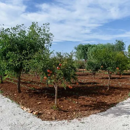 Masseria Pezze D'arena- By Puglia Classics